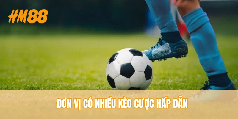 Đơn vị có nhiều kèo cược hấp dẫn