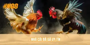 nha-cai-da-ga-uy-tin